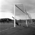 Covering the Latest Updates and Plans of Chester FC: A Must-Read for Fans and Enthusiasts