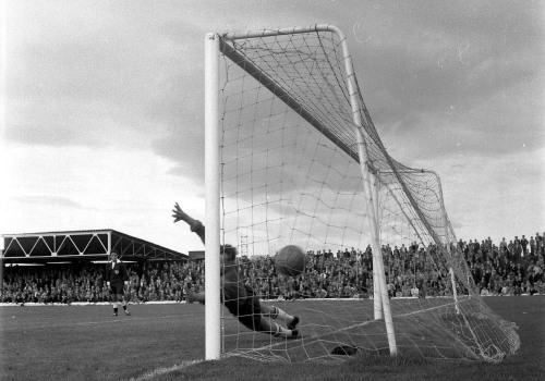 Covering the Latest Updates and Plans of Chester FC: A Must-Read for Fans and Enthusiasts